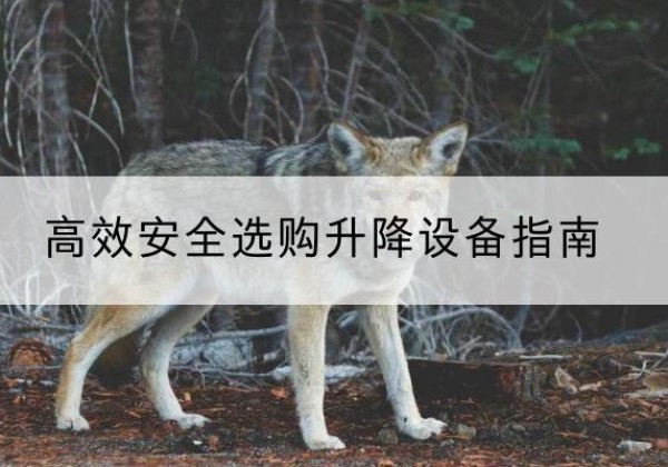 大田升降货梯厂家推荐-*安全选购升降设备指南