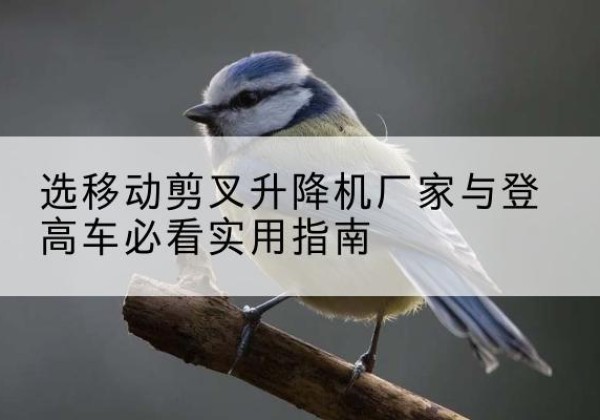 大田电动升降机厂家-选移动剪叉升降机厂家与登高车必看实用指南